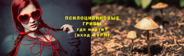эйфоретик Богородицк