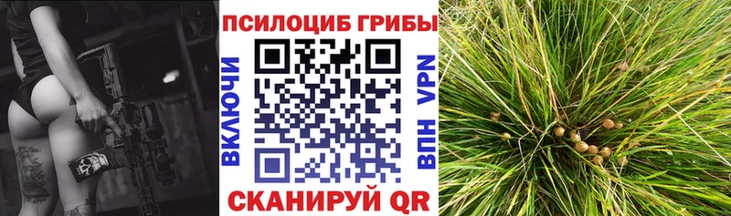 Псилоцибиновые грибы прущие грибы  Бирюч 
